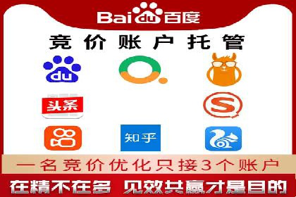 SEM主管的角色与职责：成功案例解析